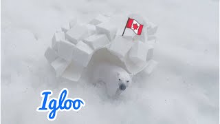 How To Make A Fun And Easy Igloo Craft 🐻‍❄️🧊 [upl. by Ahsiym789]