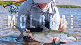 Fly Fishing Giant Bonefish GTs and Milkfish on the flats of Molokai Hawaii with fly rods kayaks [upl. by Bouley]