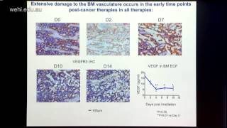 Purton 2015 Regulation of haematopoiesis by microenvironment cells [upl. by Annail721]