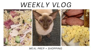 WEEKLY VLOG  Food Prep amp Shopping [upl. by Hartman]