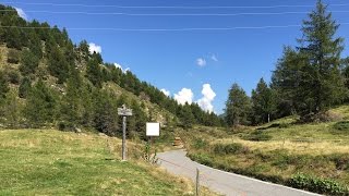 Passo del Mortirolo Passo della Foppa climb from Grosio [upl. by Supple]