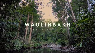 Introducing Waulinbakh Wildlife Sanctuary [upl. by Ennoirb411]