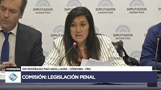 COMISIÓN COMPLETA LEGISLACIÓN PENAL  25 de septiembre de 2024  Diputados Argentina [upl. by Nilyac49]