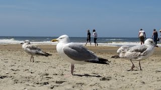 Weerbericht dinsdagmiddag Warmte komt [upl. by Jeminah]