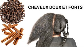 CHEVEUX SECS ET DURS  CANNELLE ET GIROFLE 2 INGRÉDIENTS ADOUCISSANTS [upl. by Chicoine26]