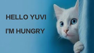 Yuvi ne Banaya New Friend  Cute 🥰 yuvivlogdy cutecat YUVIVLOGDY YouTube [upl. by Rusel]