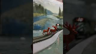 Elk hit by fast freight train [upl. by Robina]