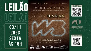 5º LEILAO HARAS WS [upl. by O'Neill]