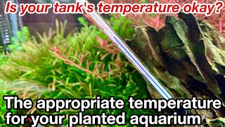 The appropriate water temperature for a planted aquariumHow to grow Bolbitis Heudelotii Microsorum [upl. by Bauske]