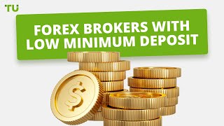 Top 10 Forex Brokers With Low Minimum Deposit [upl. by Jehoash]