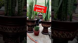 Amazing cement flower pots concrete pot diy plants [upl. by Solange]