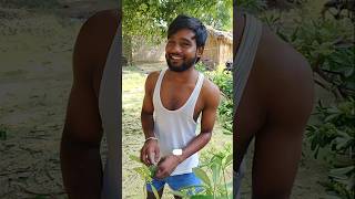 Mera light cable gir Gaya shortvideos youtubeshorts ytshorts shorts funny comedy [upl. by Menides]