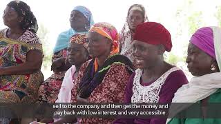 Profitable Strategies for Supporting Women Farmers Across the Rice Value Chain Tamanaa Ghana [upl. by Lotti176]