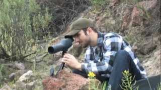 Barska 2060x60 Waterproof Colorado Spotting Scope [upl. by Namyh]