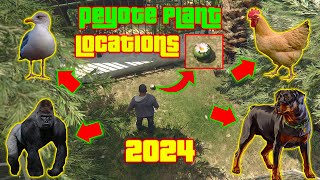 GTA V  New Peyote Plants Location Play as an Animal [upl. by Aneloaup]