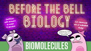 Biomolecules Before the Bell Biology [upl. by Janean]