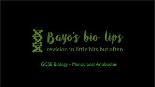 GCSE monoclonal antibodies [upl. by Blinni977]