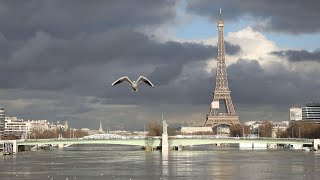 Drone footage shows Paris flooding [upl. by Idur]