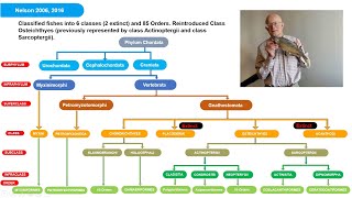 Fish ClassificationIII Upto Orders based on Nelson 20062016 [upl. by Medorra]