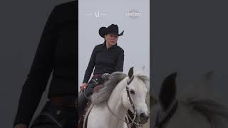 Discover the Reining Discipline at Scottsdale Arabian Horse Show 2023 [upl. by Chlores474]