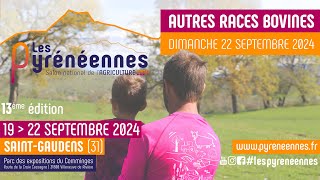 Les Pyrénéennes 2024  Ring 1  Autres races bovines  22092024 [upl. by Gievlos]