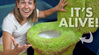 Growing the Worlds Weirdest Chia Pet [upl. by Olaznog]