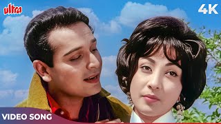 Ba Hosh O Hawas 4K  Mohammed Rafi Romantic Song  Biswajeet Mala Sinha  Night in London Songs [upl. by Ramsden]