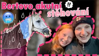 Bertova “evakuace” během povodní  Aničky vlog [upl. by Eimiaj327]