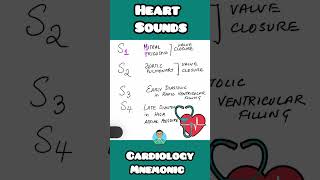 Heart sounds visual mnemonic  usmle firstaid for inicet neetpg [upl. by Aytac]