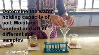 DETERMINE THE WATER HOLDING CAPACITY OF SOIL  MOISTURE CONTENT  PH OF DIFFERENT SOIL SAMPLES [upl. by Thapa]