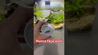 Peixes eram vendidos em copos descartáveis Loja foi denunciada por vender Peixes Bettas em copos [upl. by Dusa440]