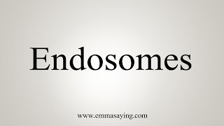 How To Say Endosomes [upl. by Nogam]