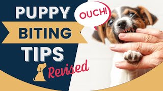 Puppy Biting Tips for New Puppy Owners [upl. by Aivatnuahs]