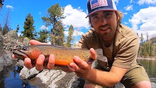 SPRING Fishing for CUTTHROAT and BROOK TROUT  CATCH amp COOK [upl. by Ambler]