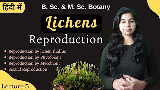 Lichens  Reproduction in Lichens  in Hindi  Botany  B Sc amp M Sc [upl. by Aram]