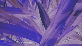 José González  The Forest Lyric Video [upl. by Mureil499]