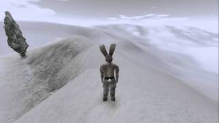 Lugaru HD  Snow Music [upl. by Nerval357]