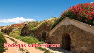 Bodegas Subterráneas [upl. by Ialda]