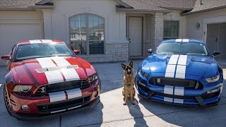 Shelby GT350 vs SVT Shelby GT500  Which One Is Right For You [upl. by Ilanos]