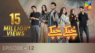 Chupke Chupke Episode 12  Digitally Presented by Mezan amp Powered by Master Paints  HUM TV  Drama [upl. by Marden]