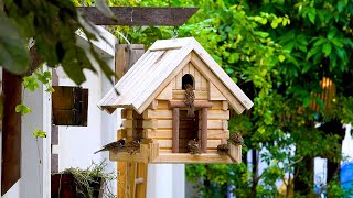 How to make DIY wooden cabin log bird feeder [upl. by Herta]