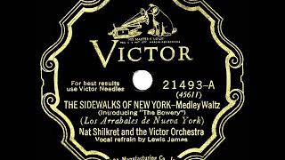 1928 HITS ARCHIVE The Sidewalks Of New York  Nat Shilkret Lewis James vocal [upl. by Arrak]