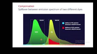 Flow cytometry and how to set compensation reaction [upl. by Itoc777]