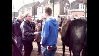 Paardenmarkt Lottum 2012 [upl. by Aleil]