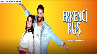 Erkenci Kuş Müzikleri  Şirket İşleri [upl. by Burr]