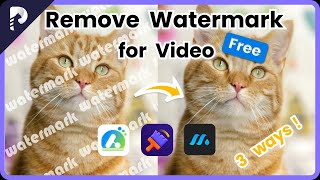 3 Effective Ways to Remove Watermark 2024 Tutorial [upl. by Neahs]