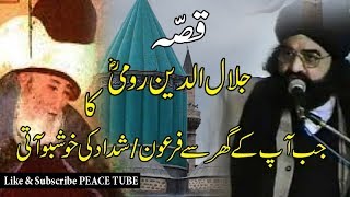 Peer Naseer ud Din Naseer  Story of Jalaluddin Rumi  Peace Tube [upl. by Darice]