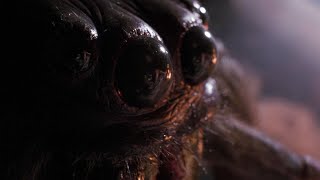 Arachnophobia Full Movie Facts amp Review in English  Jeff Daniels  Julian Sands [upl. by Noicnecsa879]