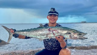 Fishing for KINGFISH at the North Jetty MULLET RUN Port Aransas Tx [upl. by Cranston]