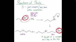 Chem128BFA24 Chapter 18 Lecture 5 Reactions of Thiols [upl. by Remlap]